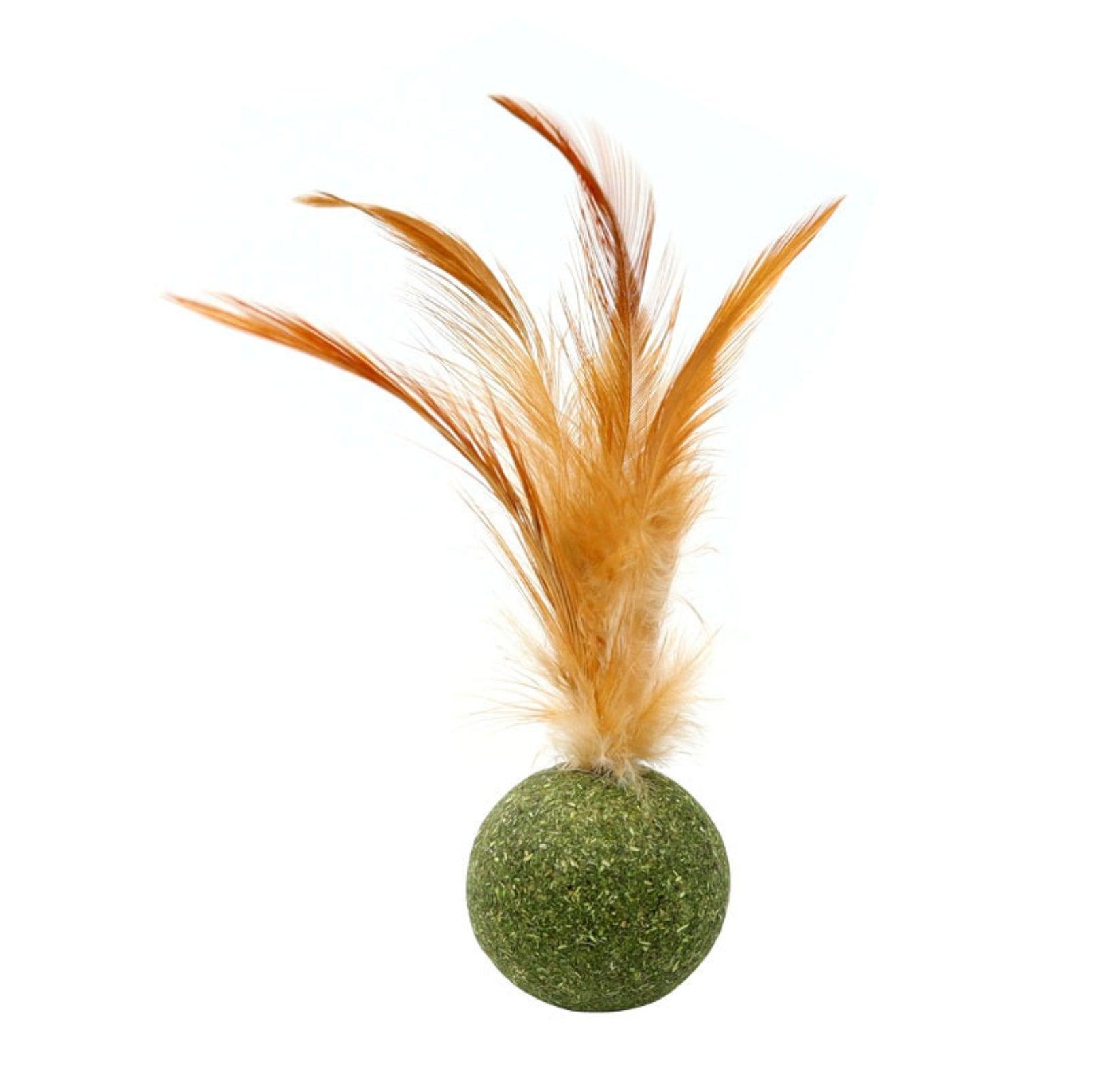 Catnip Cat Toy with Feathers