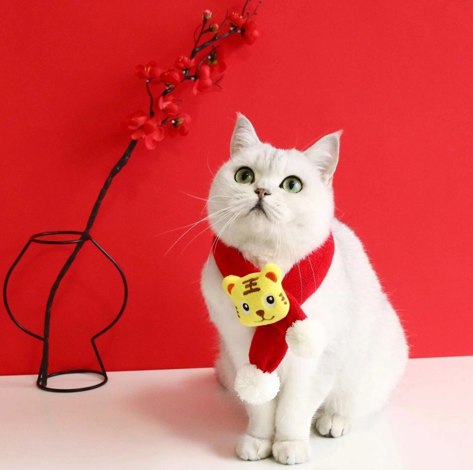 Red Knitted Wool Cartoon Scarfs For Cats and Dogs