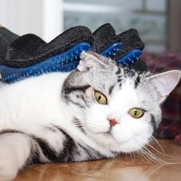 Pet Hair Remover Glove