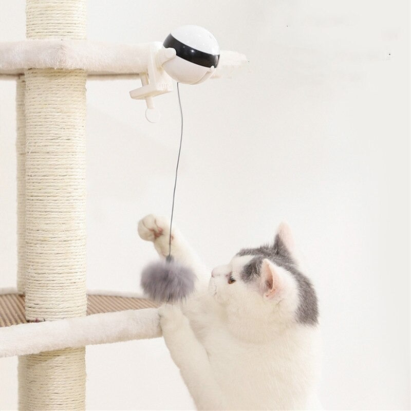Interactive Cat Teaser Toy
