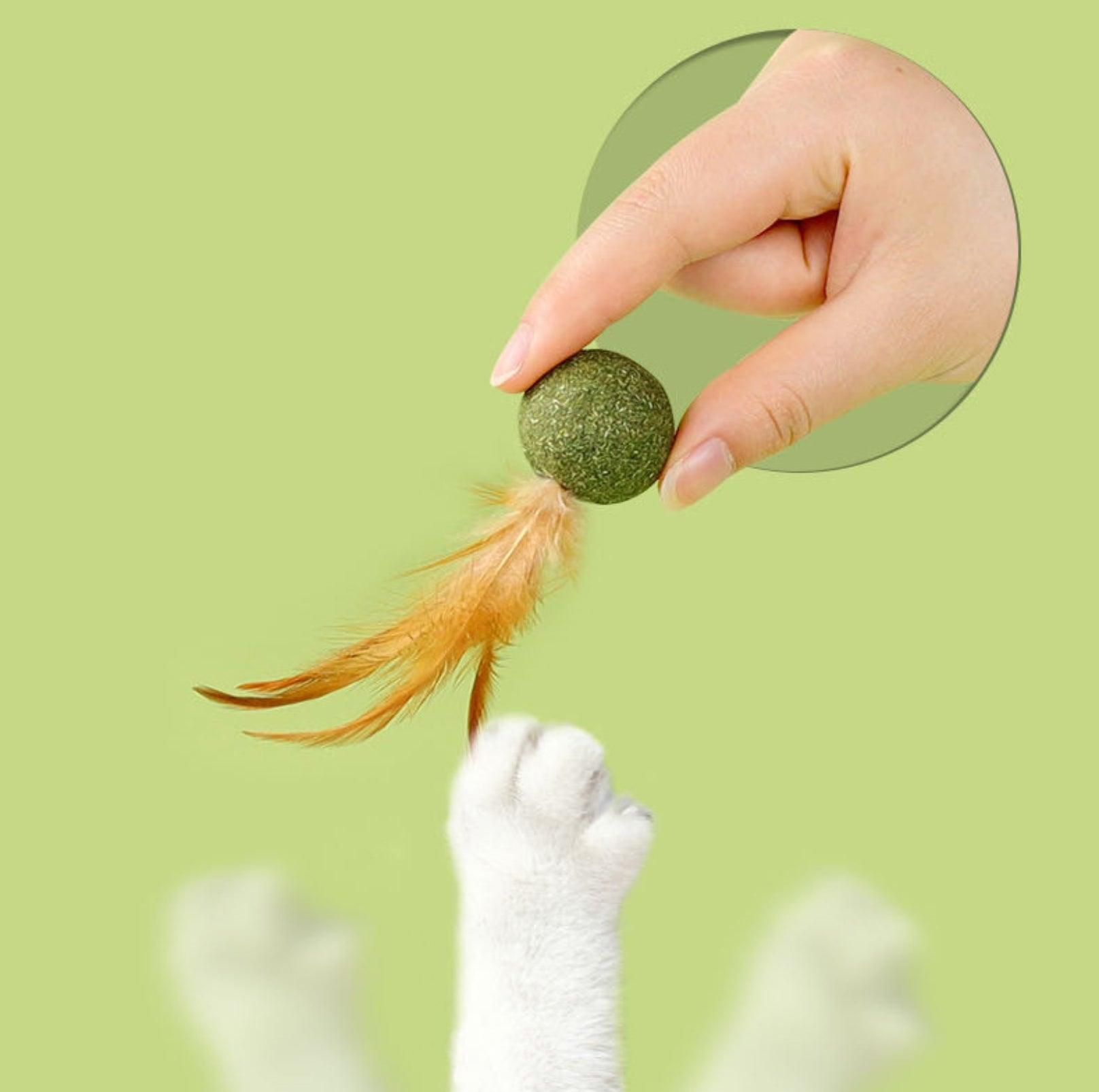 Catnip Cat Toy with Feathers