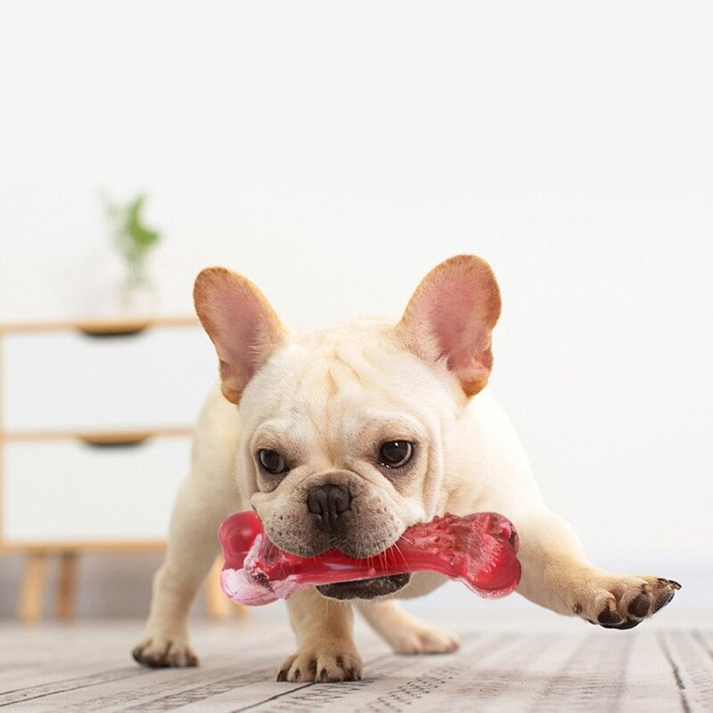 Leak Bone Molar Tooth Toy