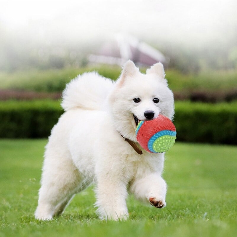 Dog Squeak Ball Toy