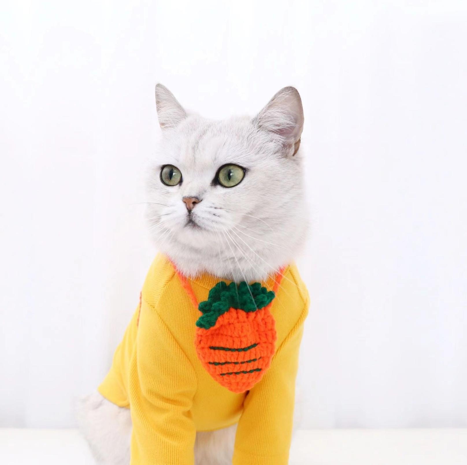 Knitted Cartoon Pet Self-Carrying Pack Style Accessory