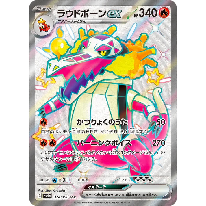 Premium Pokemon Mystery Box