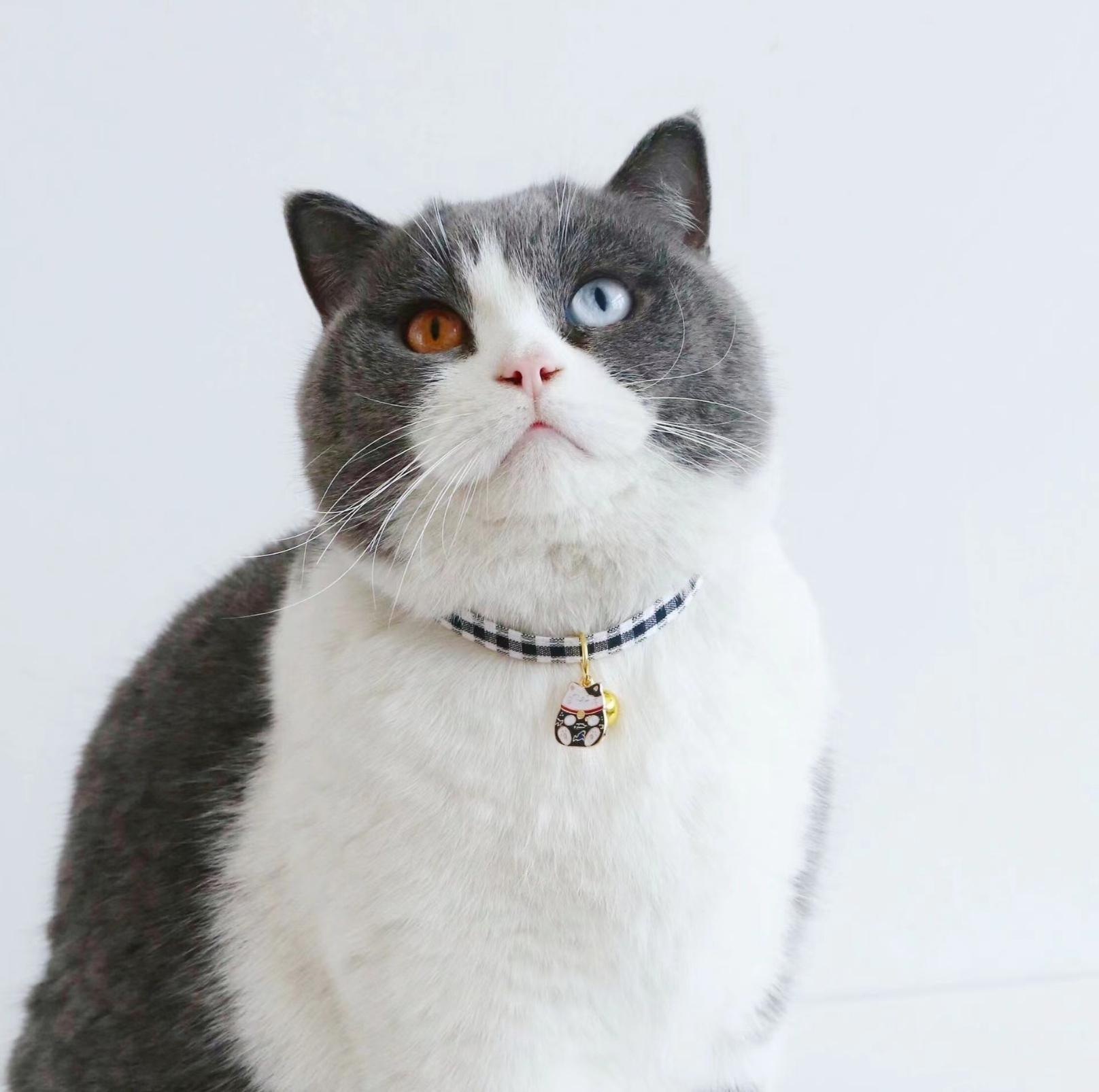 PU Plaid Fortune Cat Pendant Adjustable Pet Collar