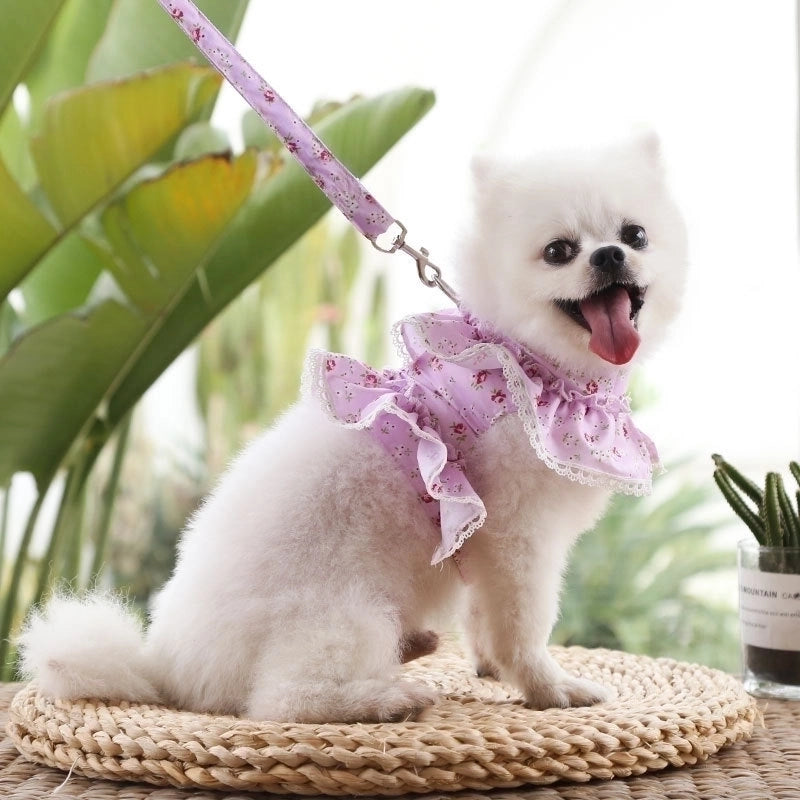 Cute Polyester Ditsy Floral Leash