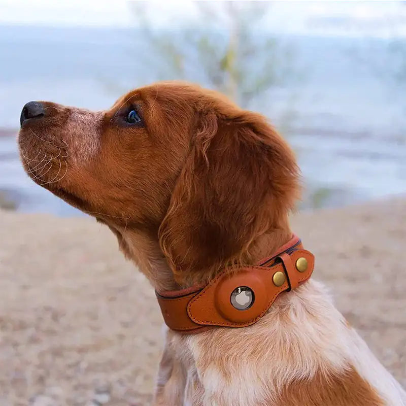 The Original Leath Collar - AirTag Holder