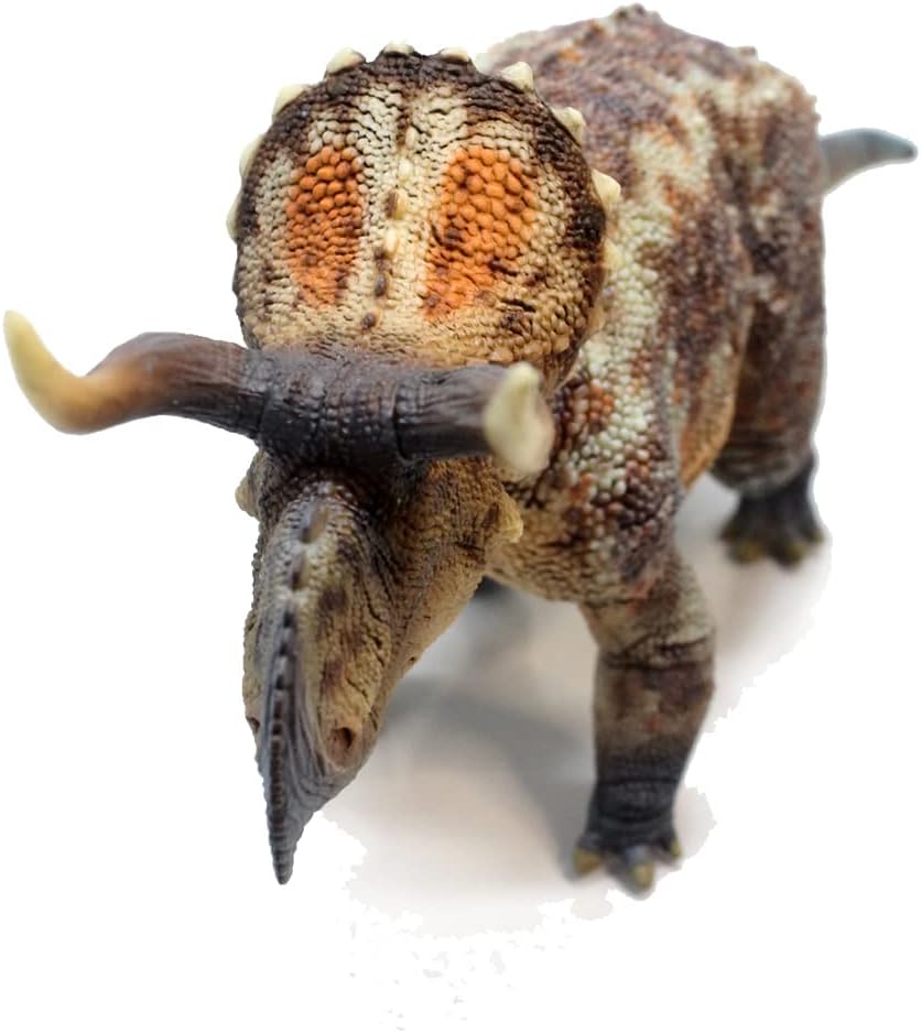 Series（Nasutoceratops 1：35 Science and Art Model） Multicolor