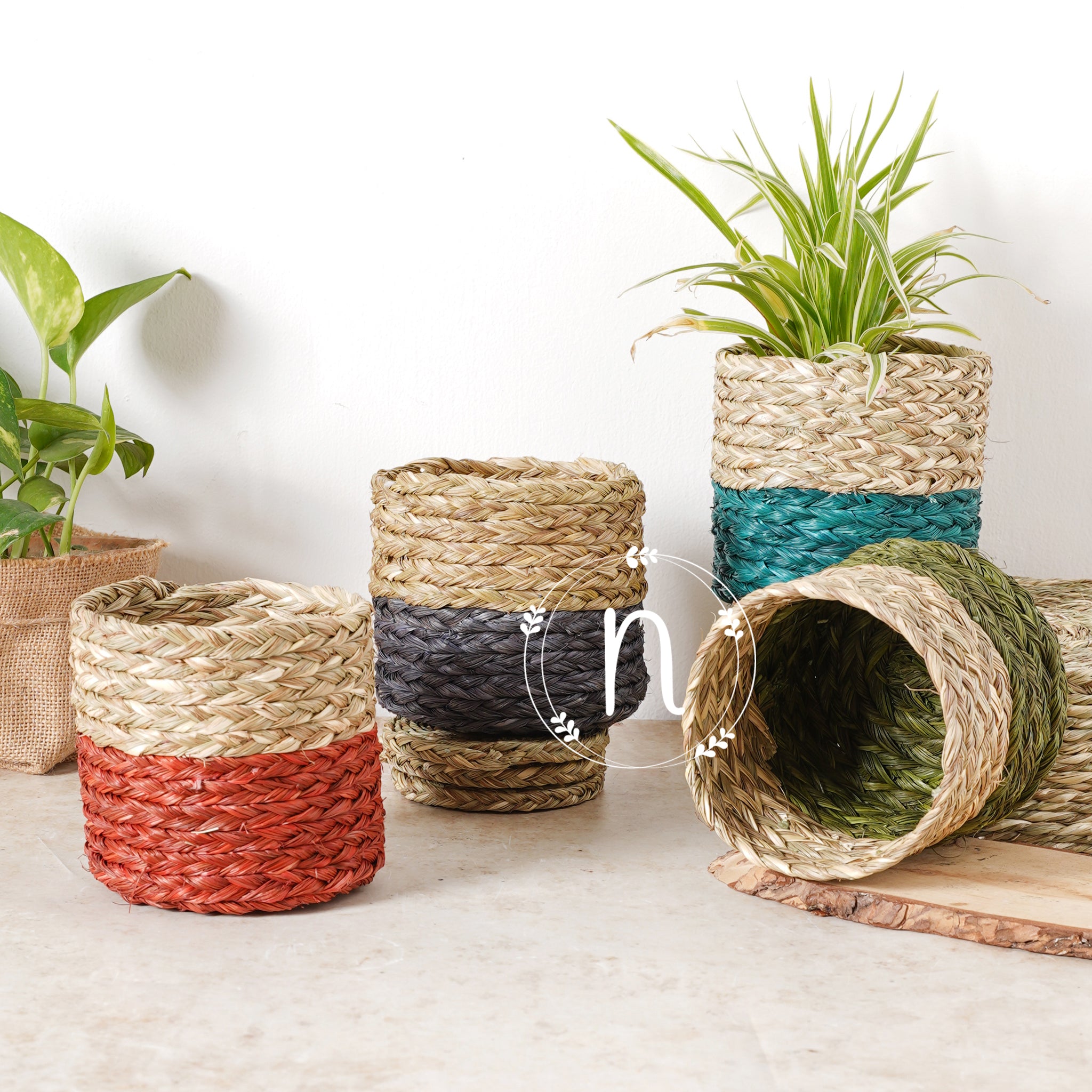 Small Planter Basket