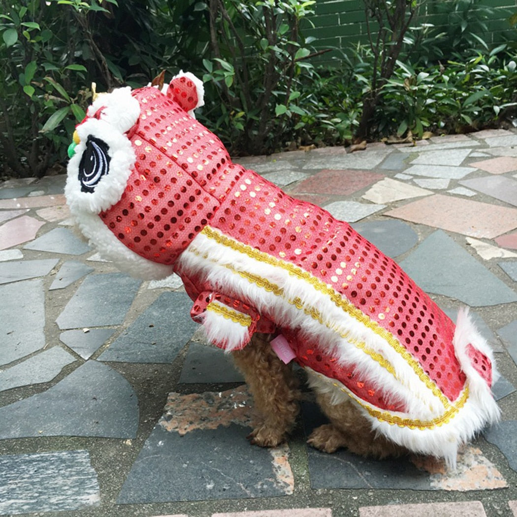 Party Costume For Dogs