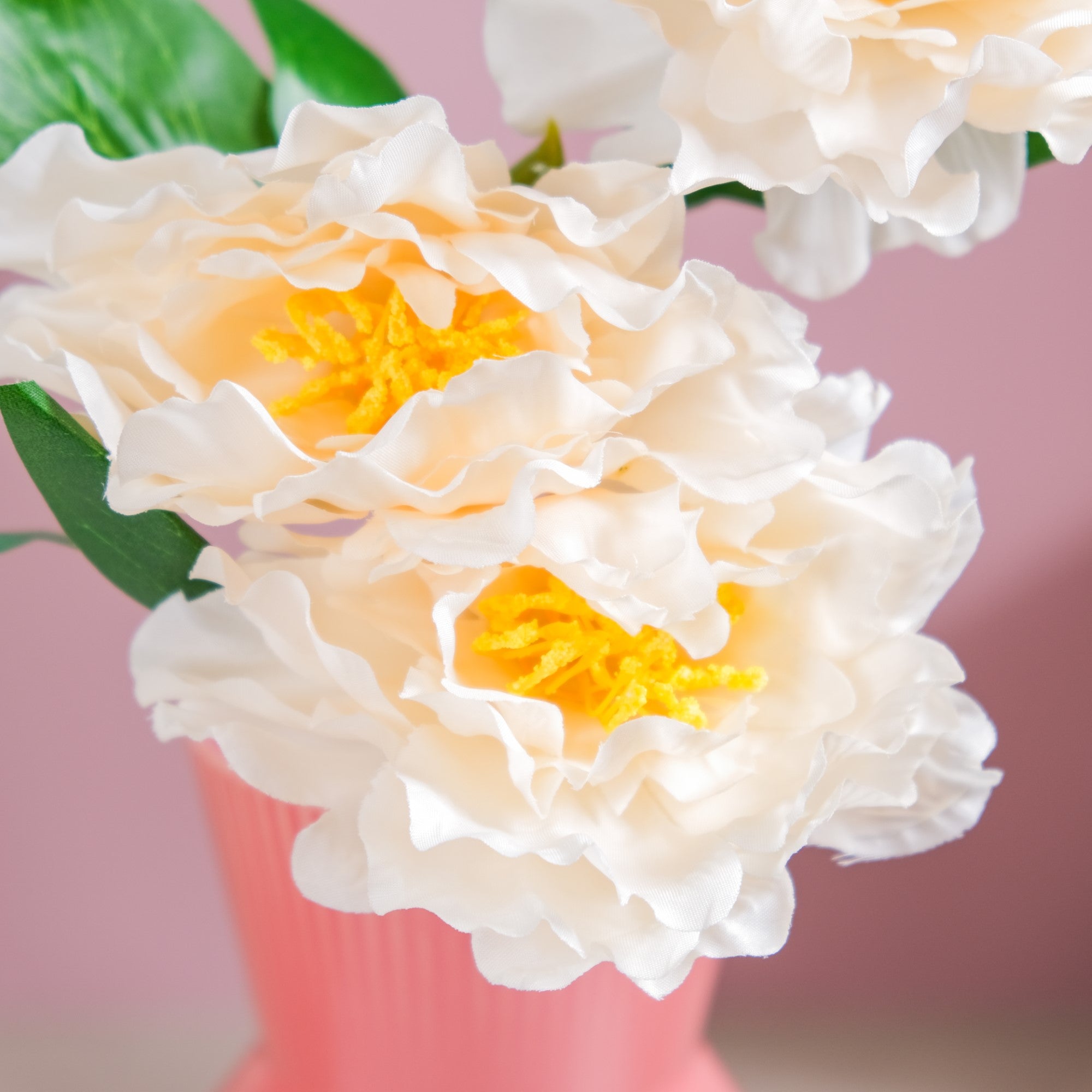 Colorful Peony Stems