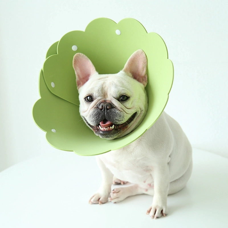 Minimalist Eva Solid Color Pet Collar
