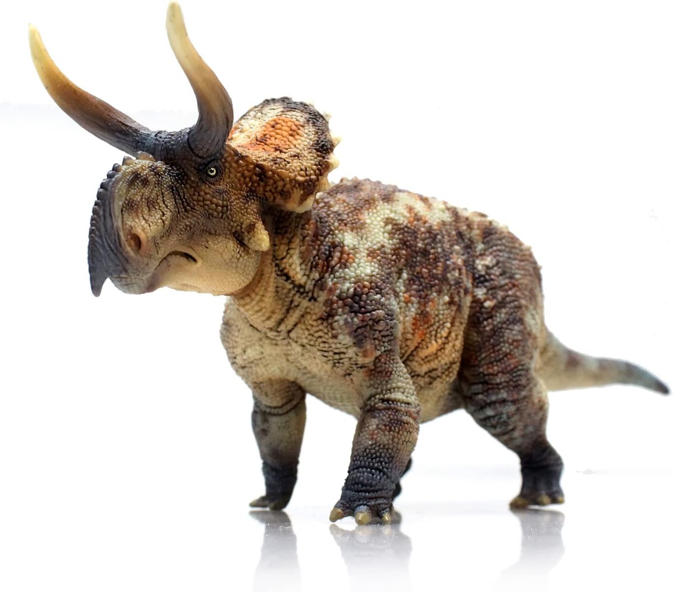 Series（Nasutoceratops 1：35 Science and Art Model） Multicolor