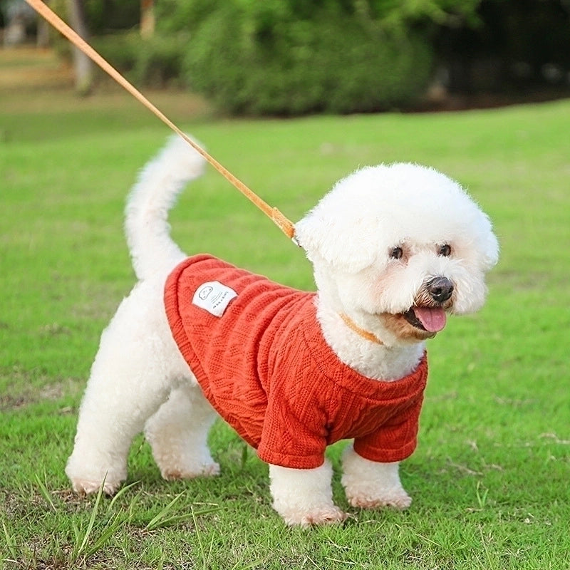 Minimalist Yarn Solid Color Pet Clothing