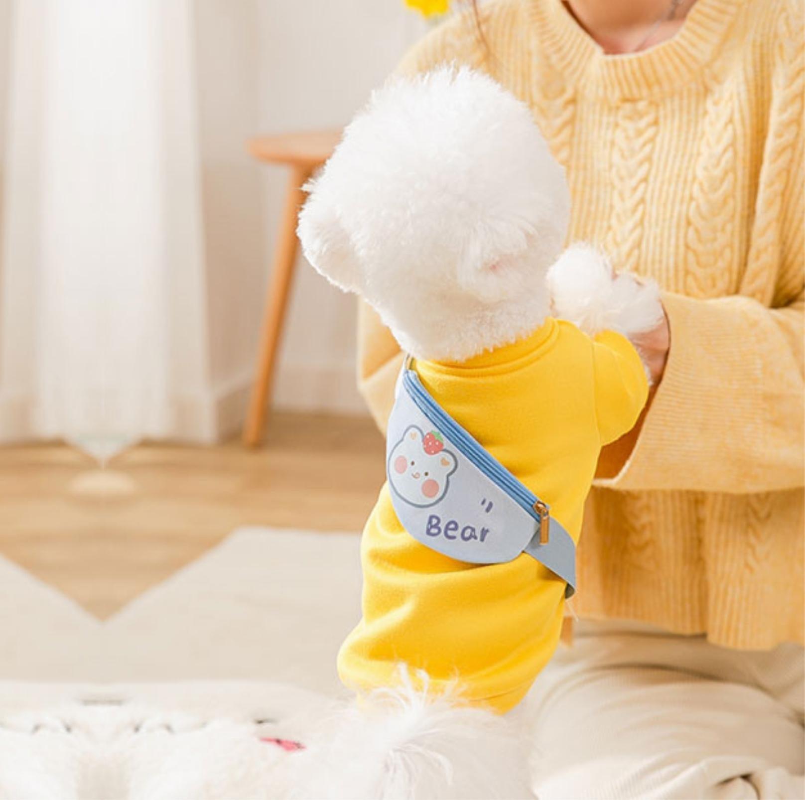 Warm and Fashionable Pet Sweater with Crossbody Bag