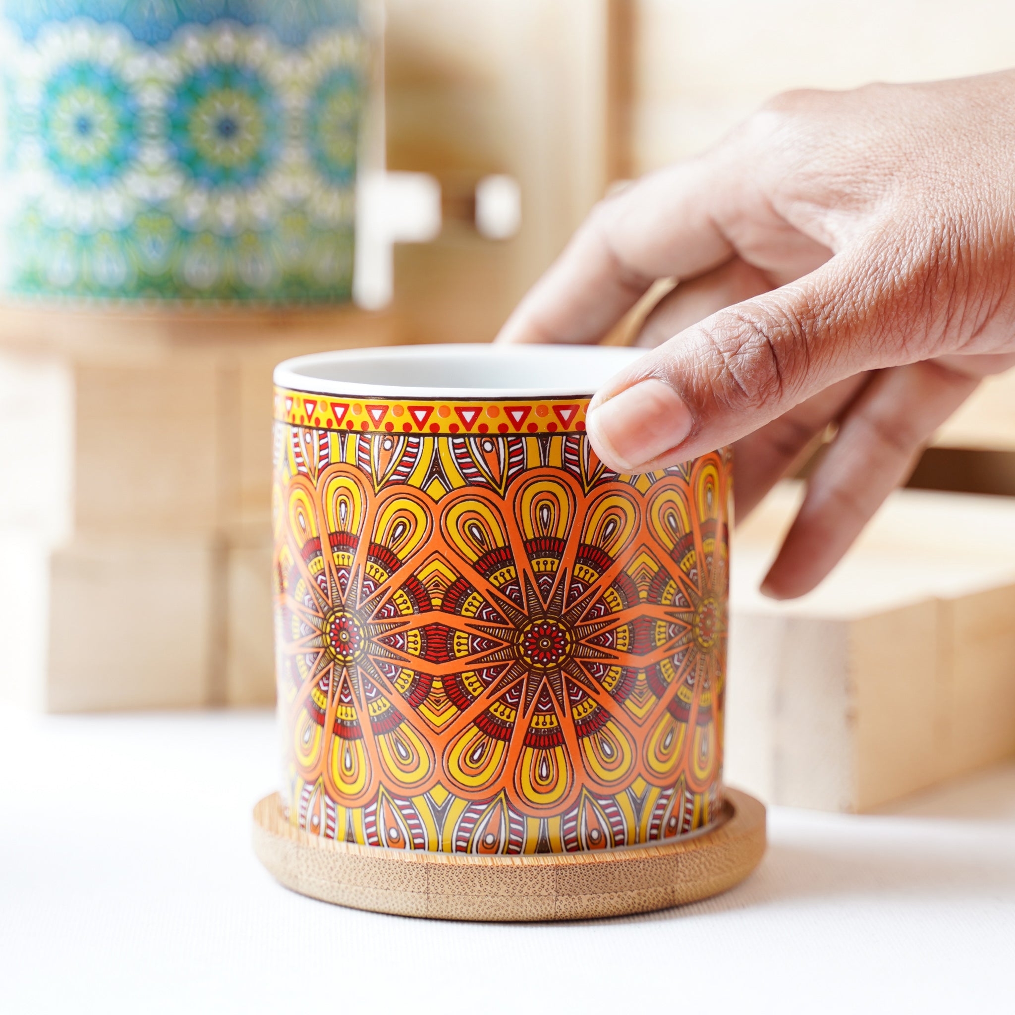 House Plant Pots