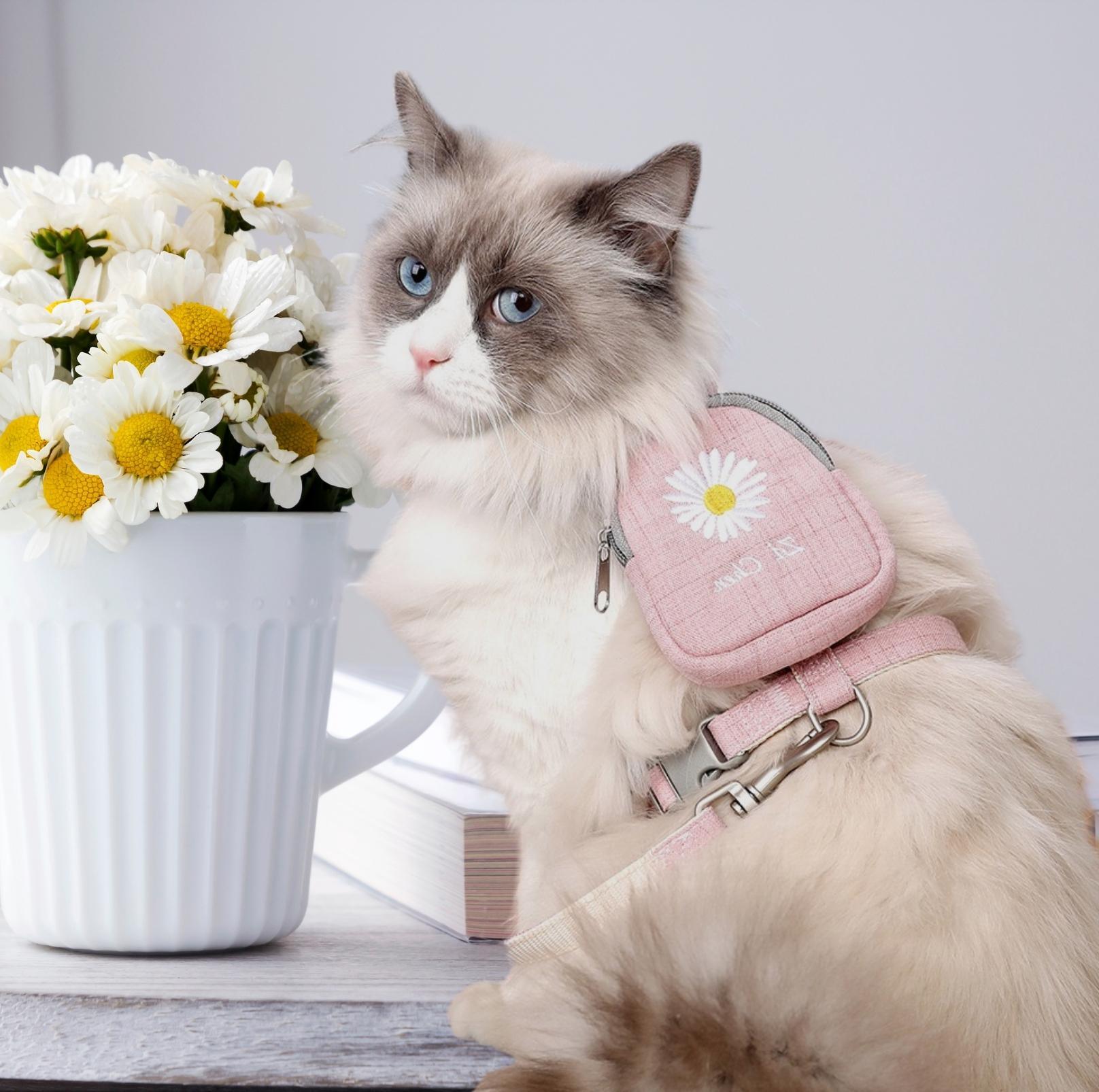 Daisy Backpack-Style Cat Harness & Leash Set