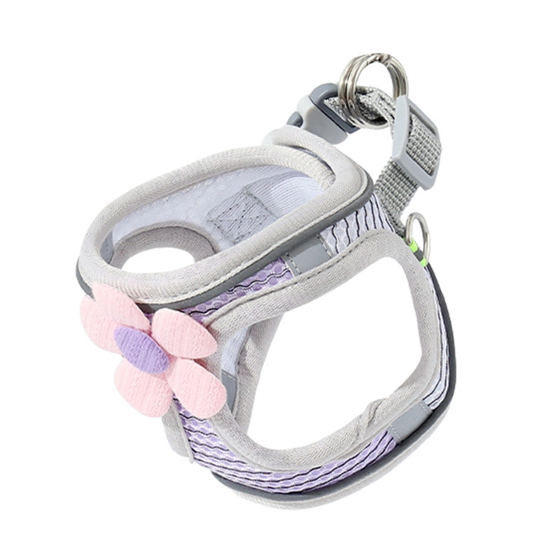Minimalist Polyester Color Block Leash