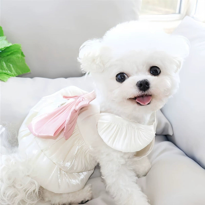 Bowknot Lace Collar Dog Harness Dress