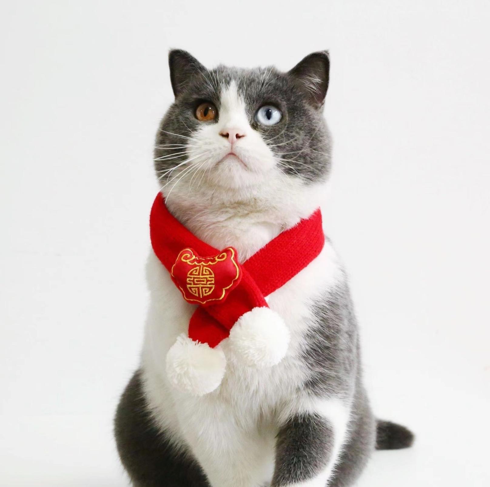 Red Knitted Wool Cartoon Scarfs For Cats and Dogs