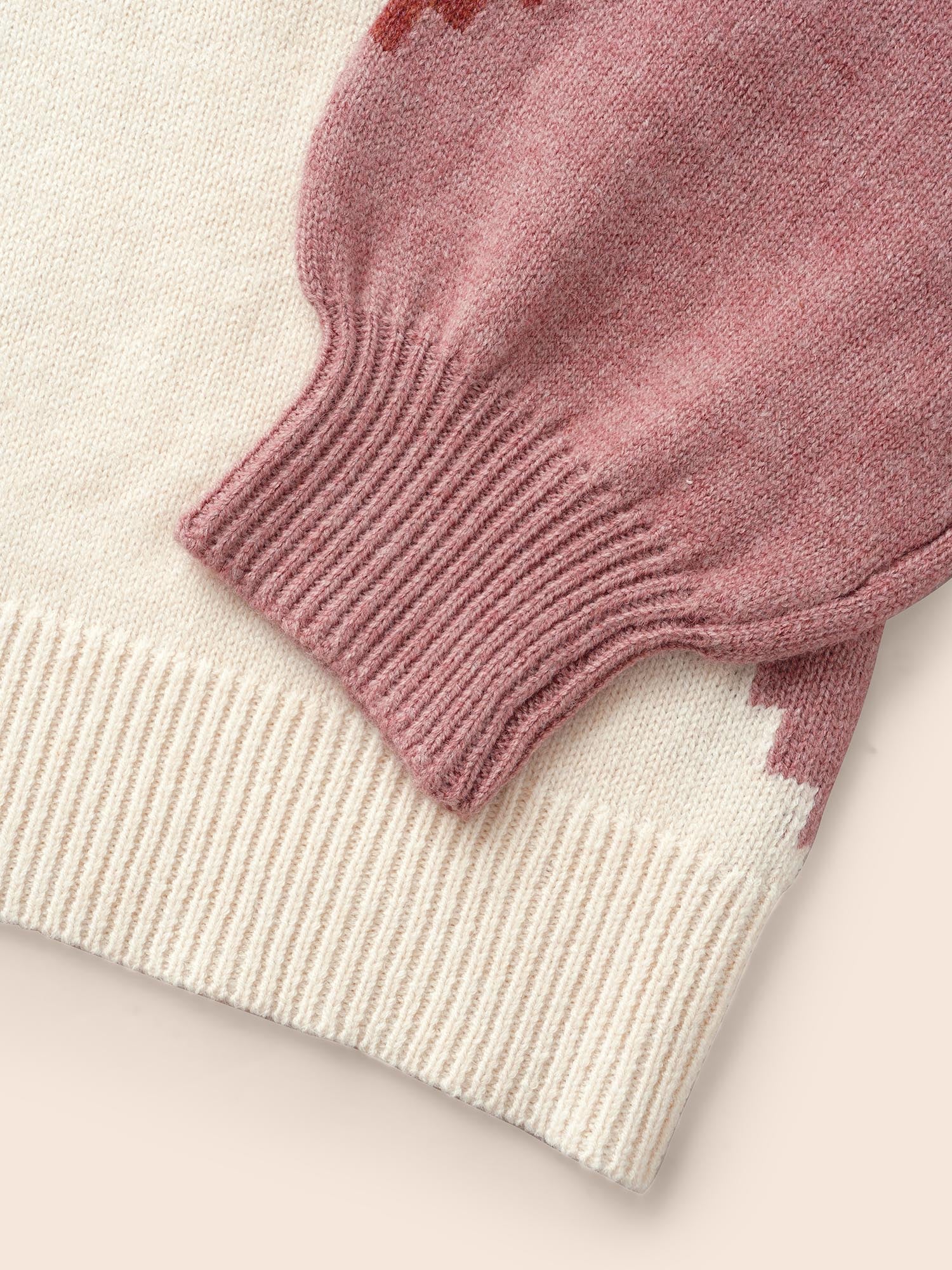 Colorblock Contrast Round Neck Pullover