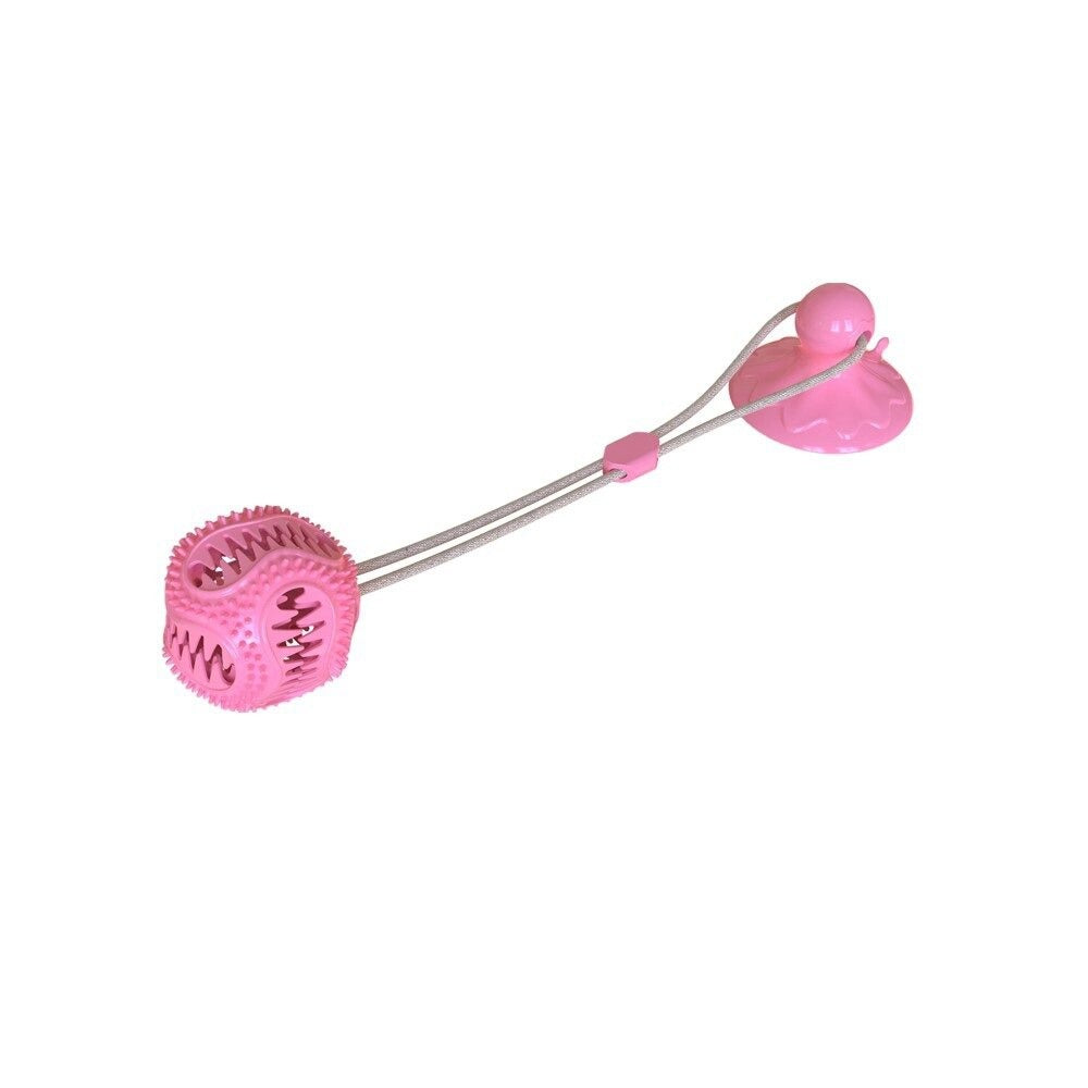 Dog Interactive Suction Cup
