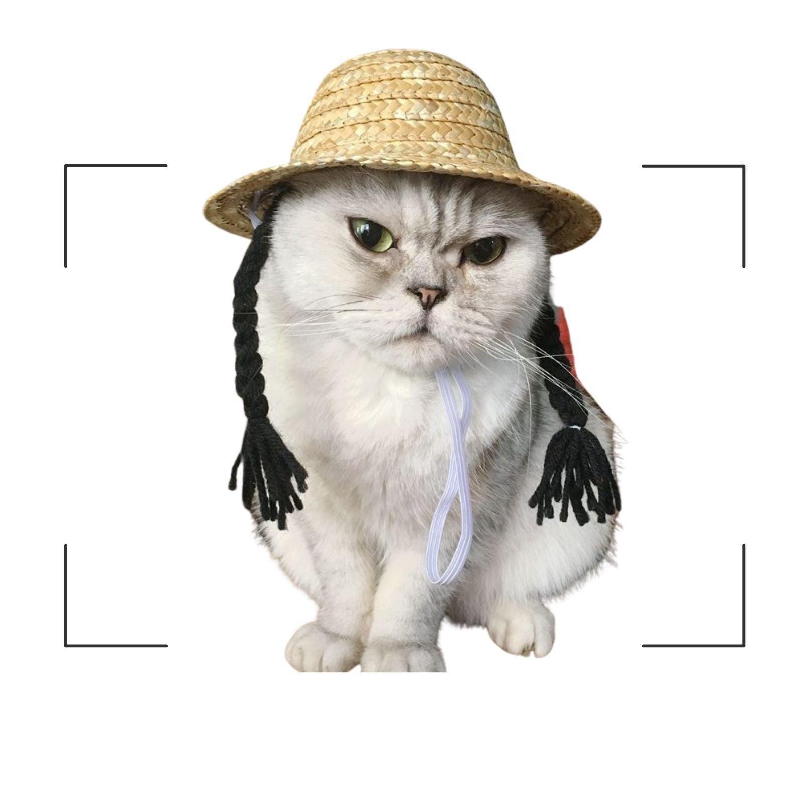 Unique Style Pet Straw Hat