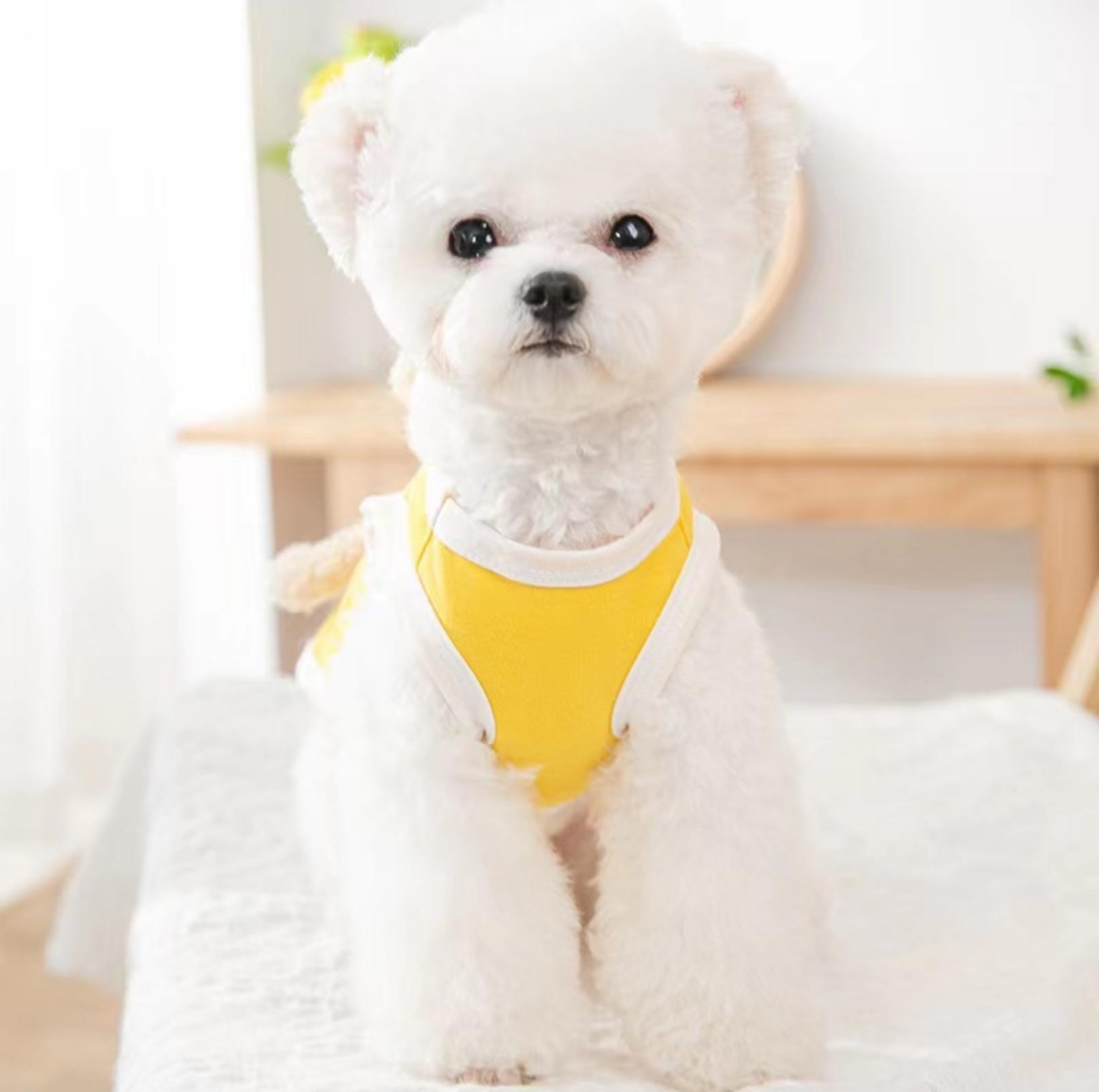 Cute Bear Doll Vest - Soft Costume for Cats & Dogs