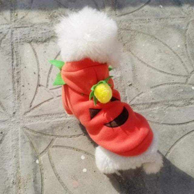 Halloween Hoodies For Dogs