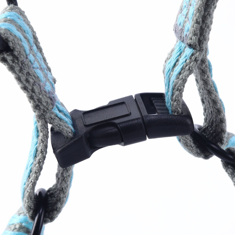 Leash And Collar Walking Set