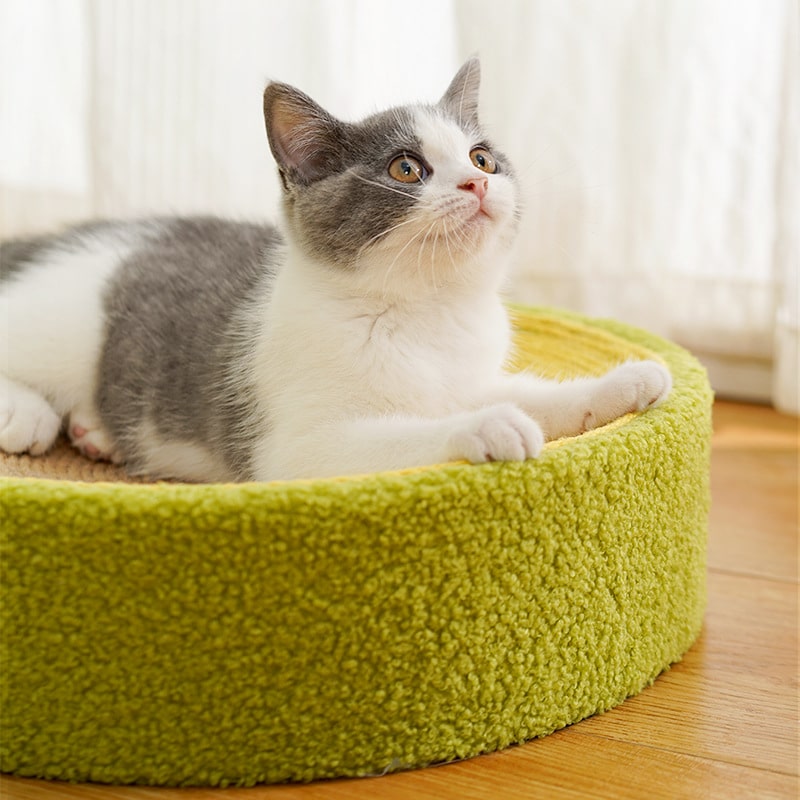 Cat Scratchers | Cute Avocado Style
