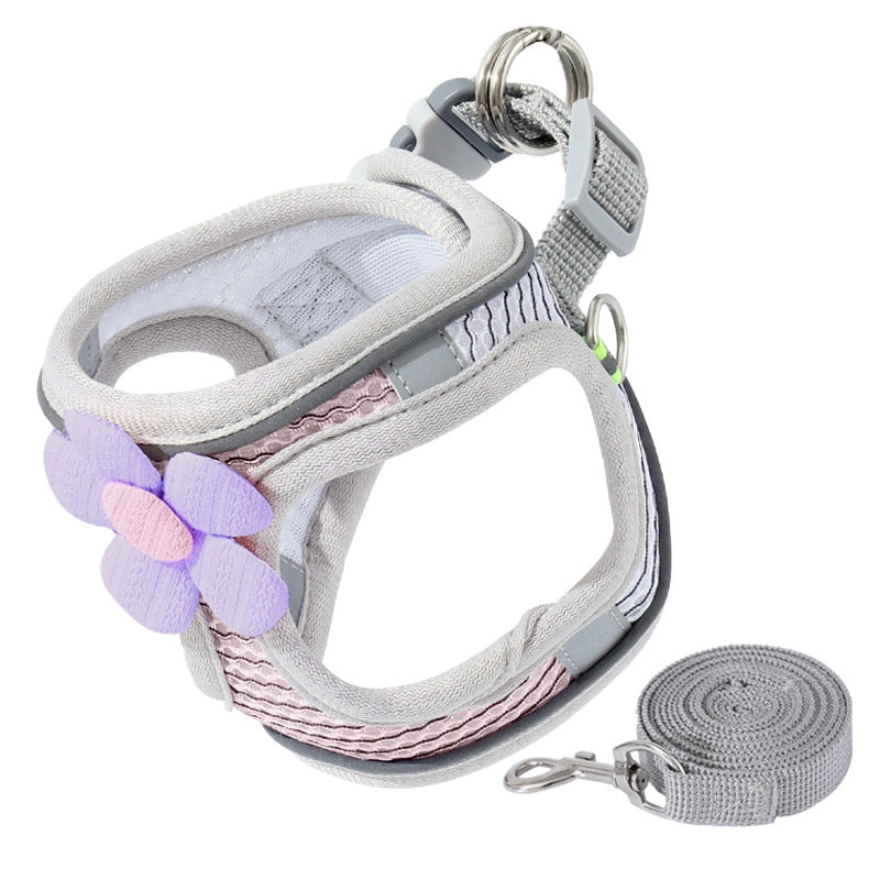 Minimalist Polyester Color Block Leash