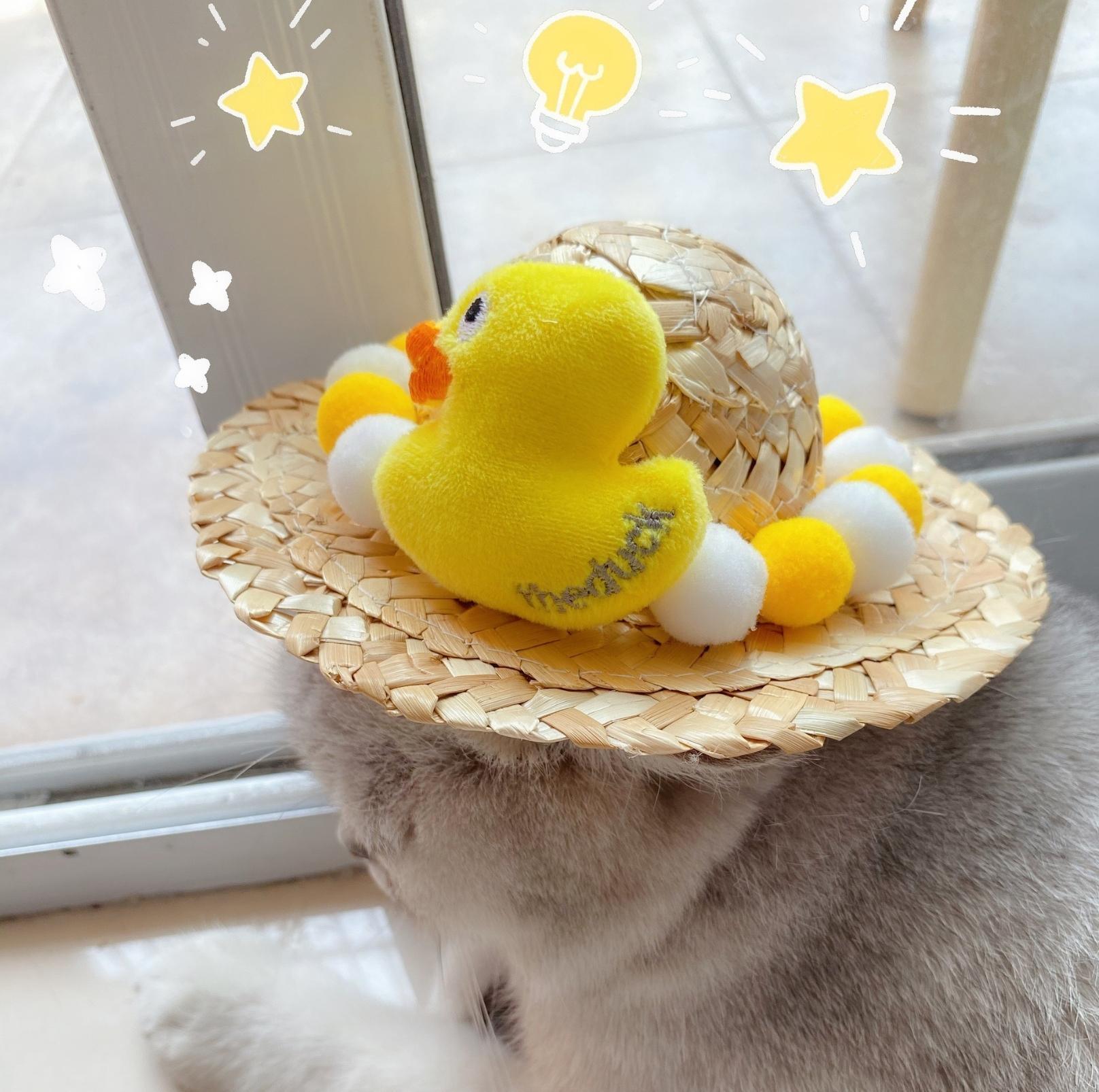 Unique Style Pet Straw Hat