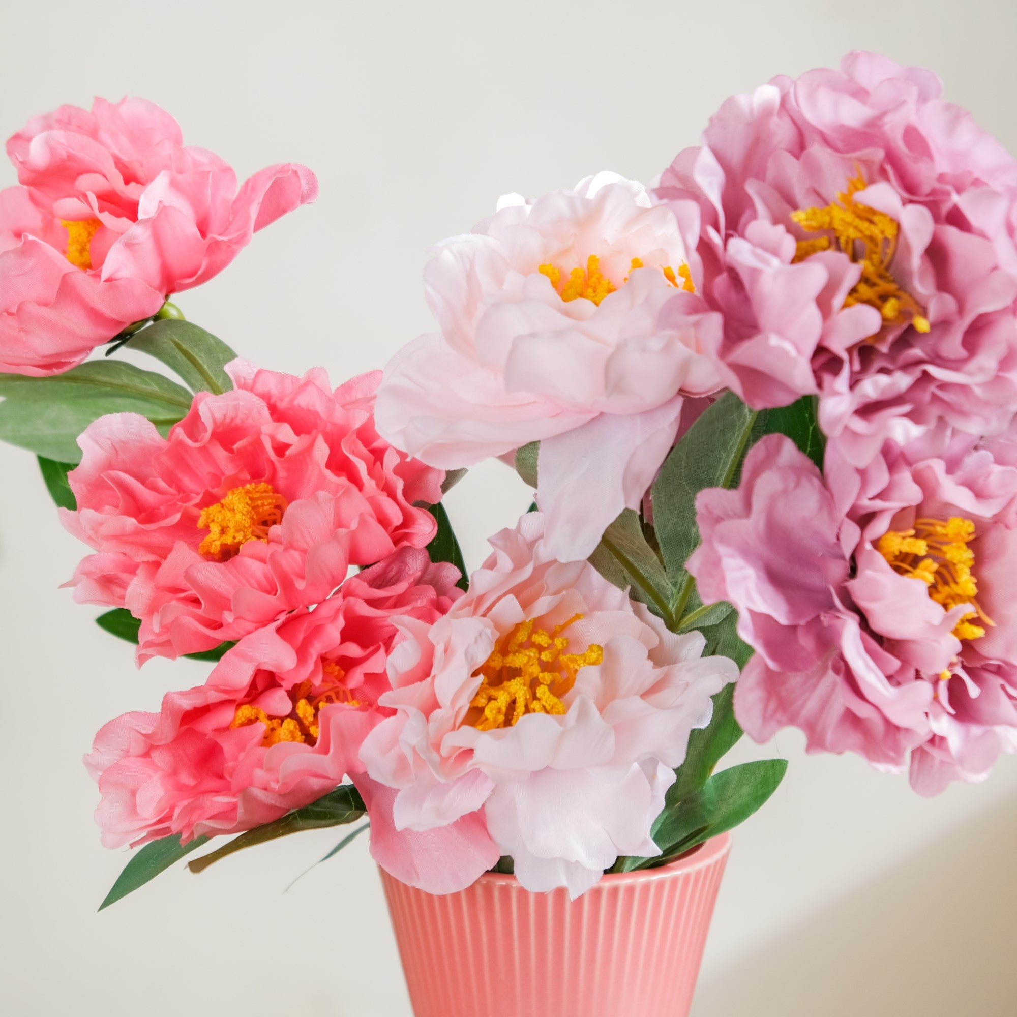 Colorful Peony Stems