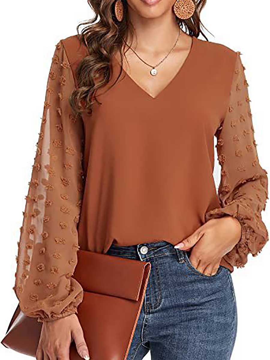 V-Neck Chiffon Long Sleeve Top