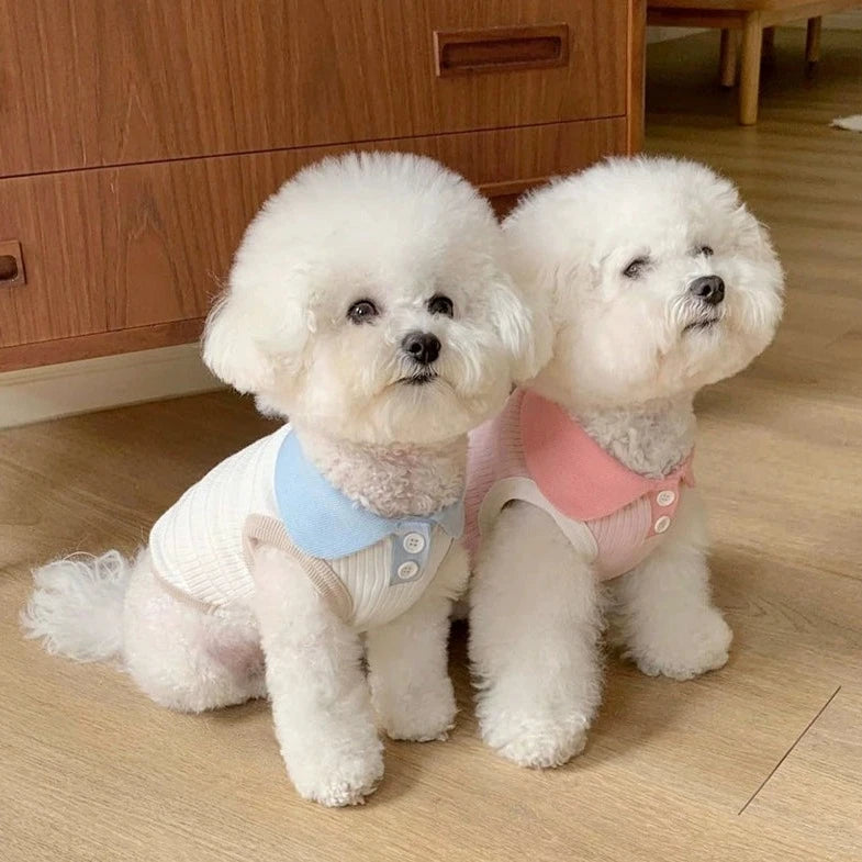 Breathable Contrast Color Collar Dog Cat Vest