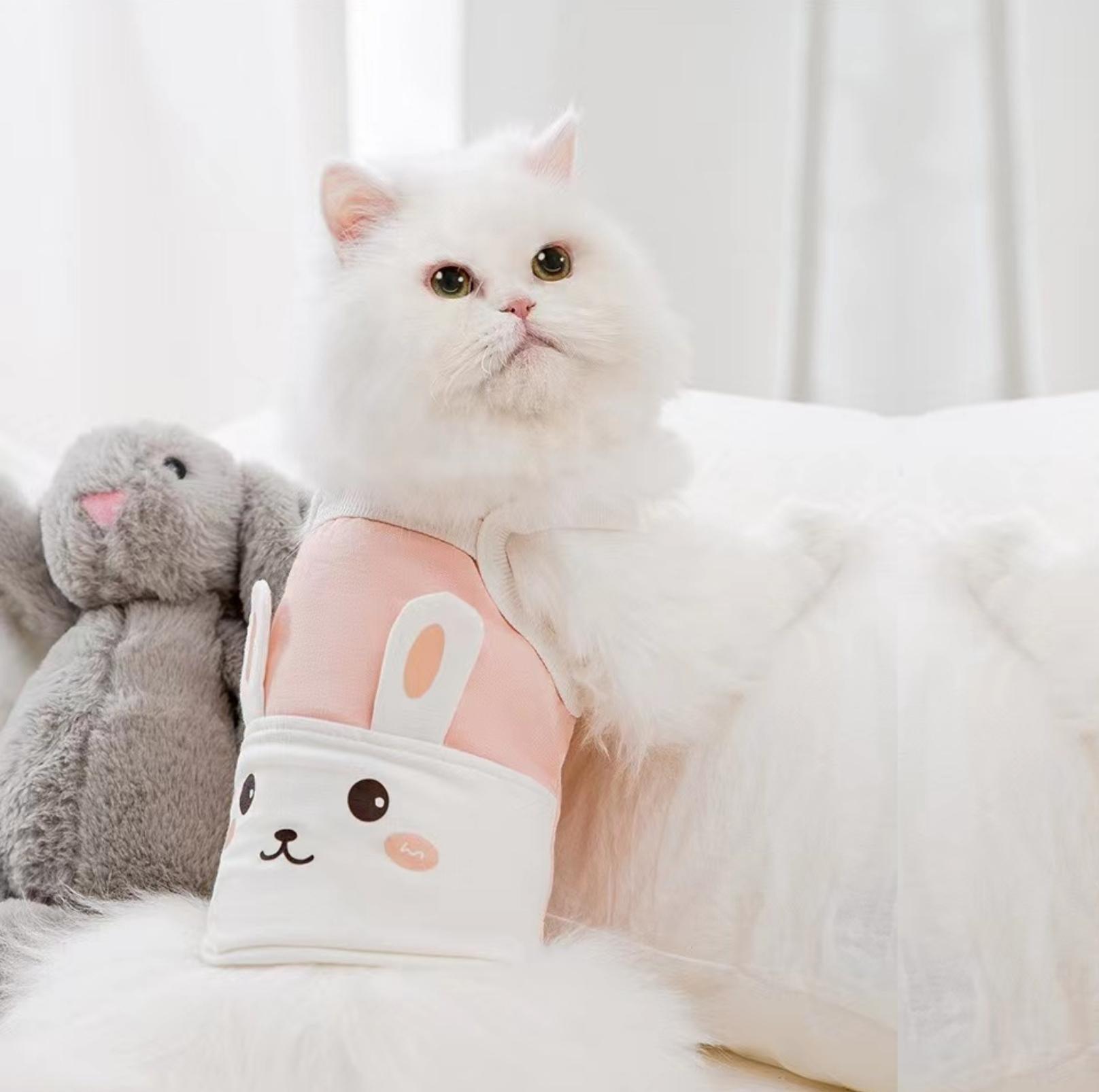 Adorable Bunny-Themed Pet Summer Vest