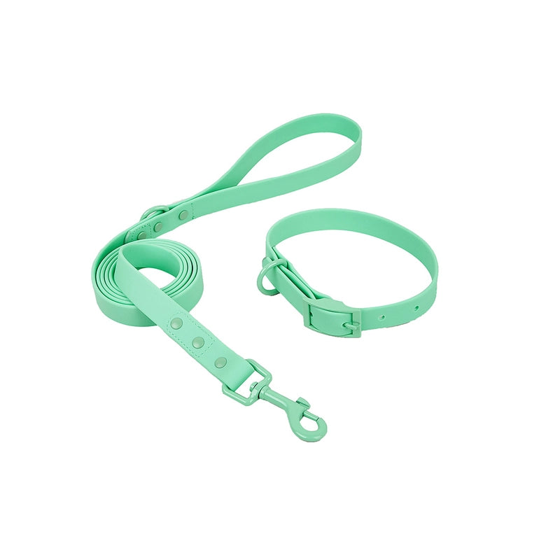 New Style Waterproof And Washable Dog Collar Leash