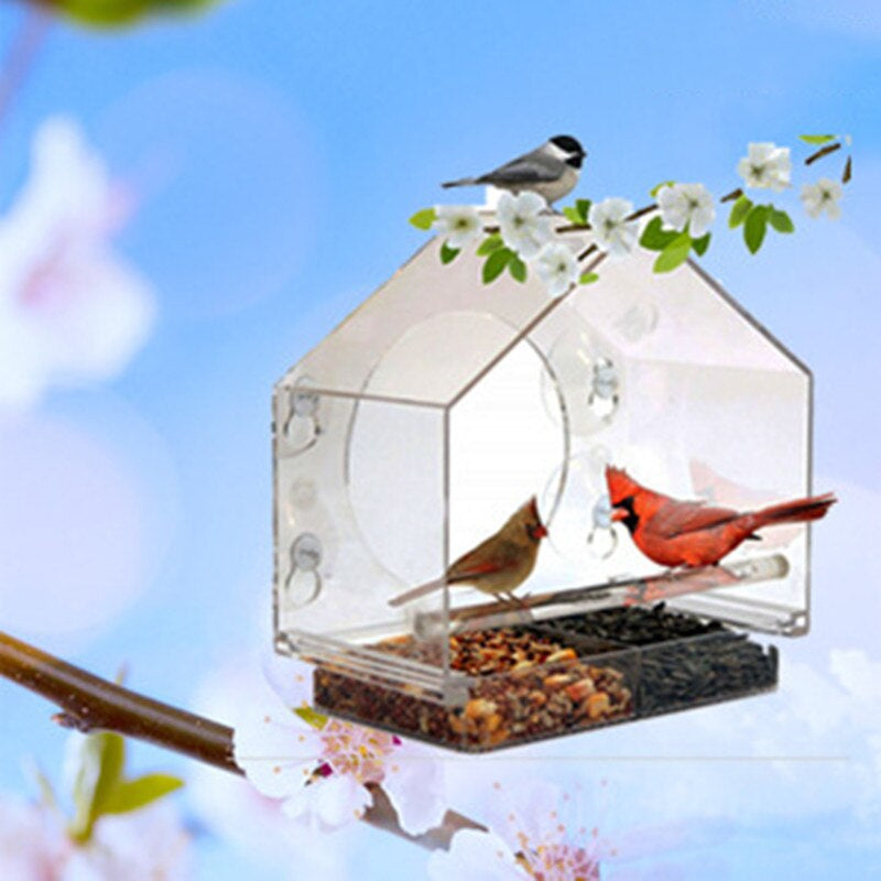 House With Feeder Suction Cup With Birds