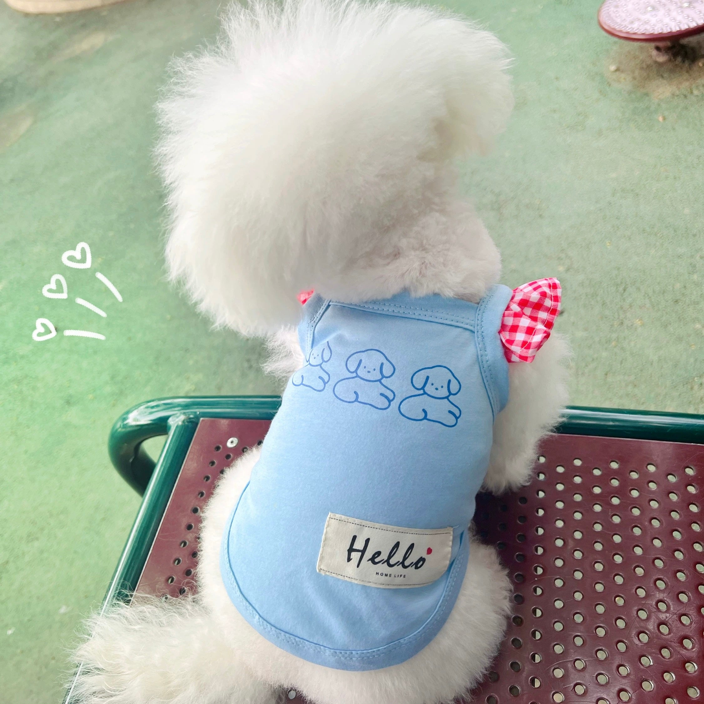 Plaid Ruffled Sleeves Dog Cat Vest