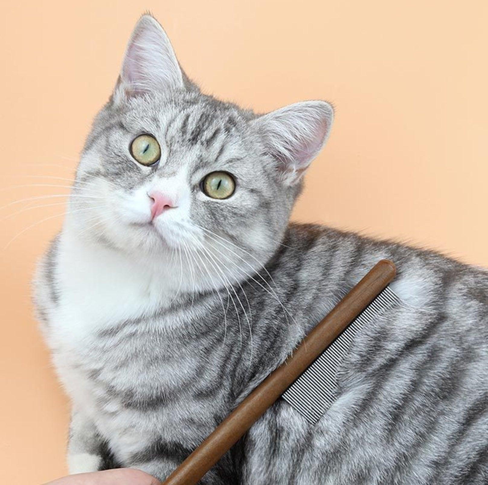 Versatile Stainless Steel Pet Brush with Wooden Handle - 3 Styles