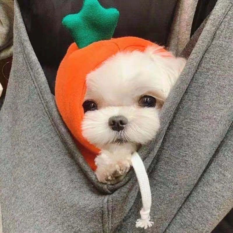 Fashion Polyester Christmas Heart Shape Frog Elk Pet Clothing