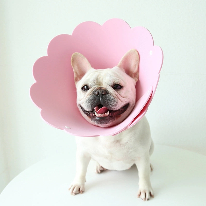 Minimalist Eva Solid Color Pet Collar