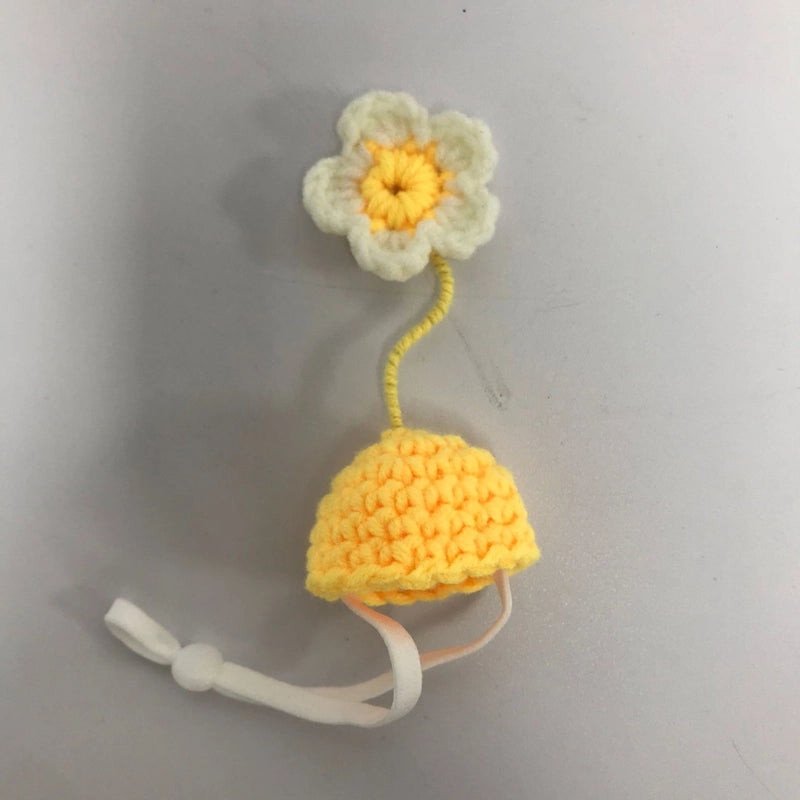 Cute Acrylic Animal Pet Hat