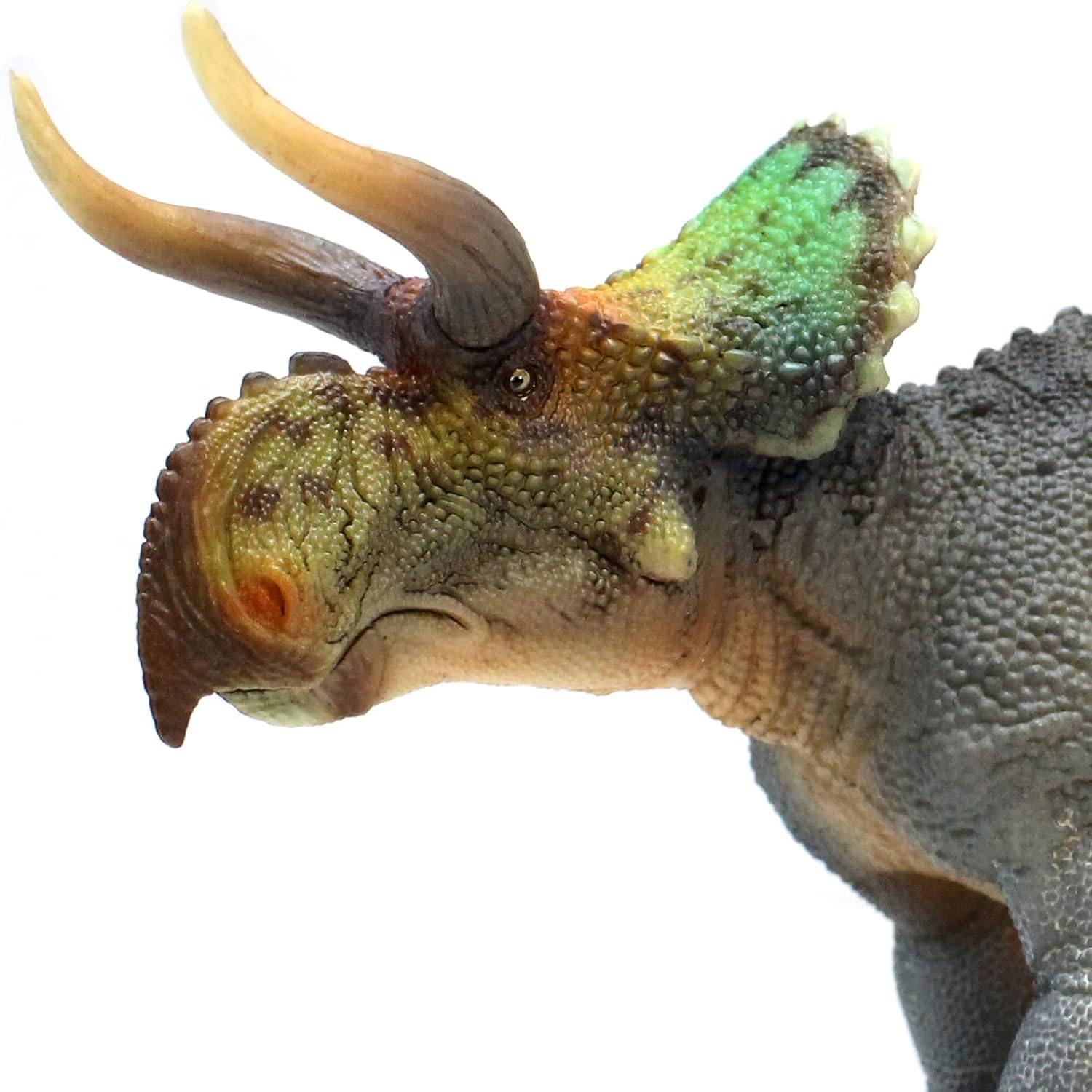 Series（Nasutoceratops 1：35 Science and Art Model） Multicolor