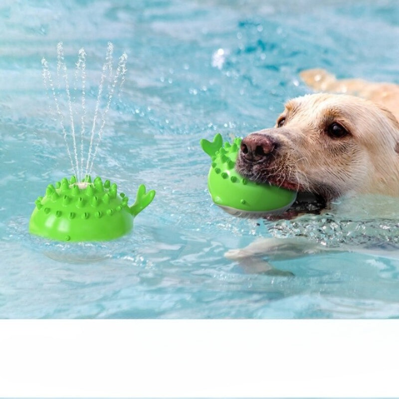 Dog Rubber Molar Ball Chew Toys