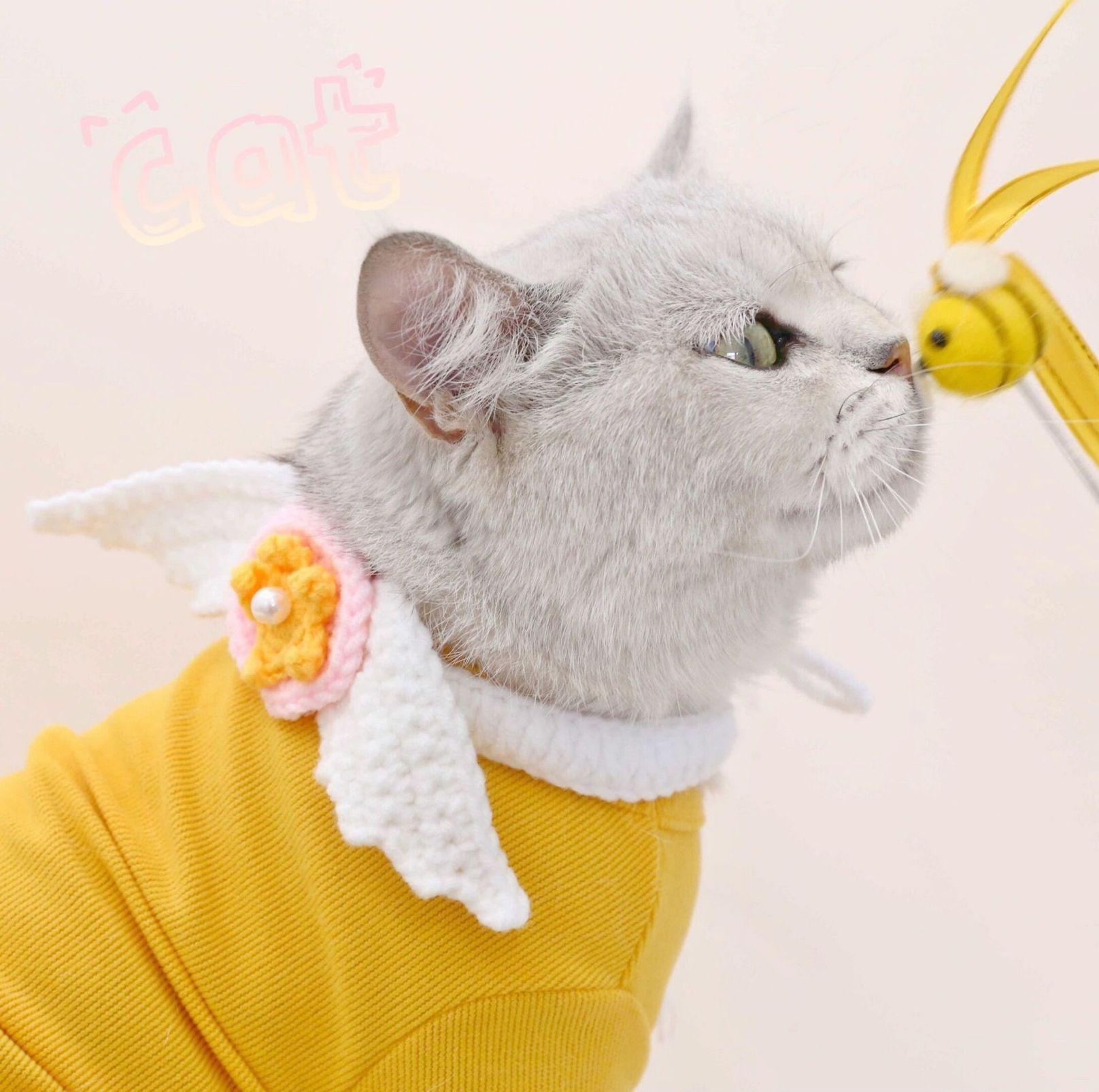 Hand Knitted Thread Wing Adjustable Collar