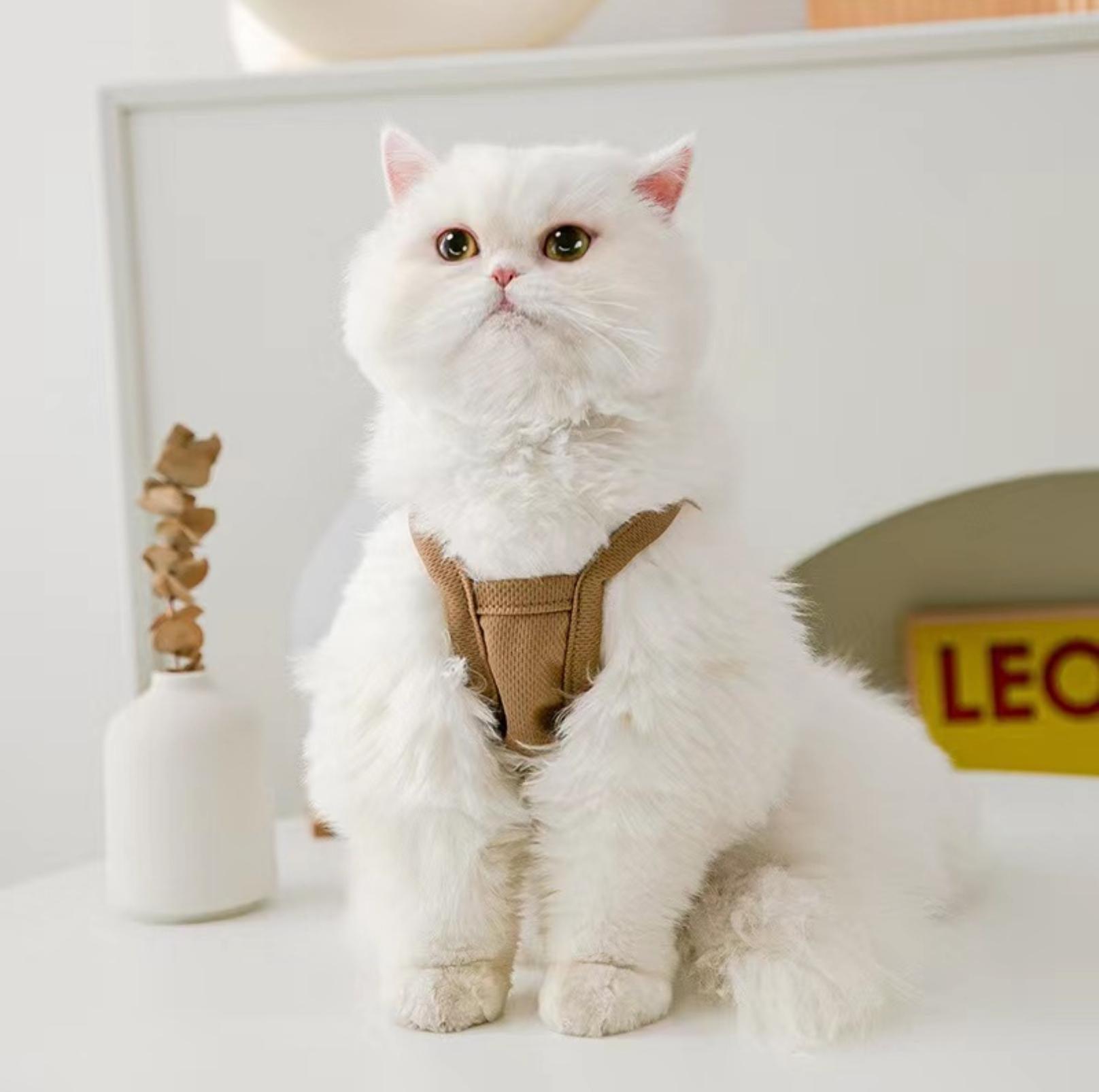 Cute Bear-Themed Pet Summer Vest