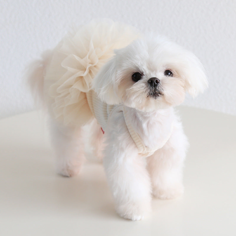 Multi-color Cotton Dog Cat Lace Dress